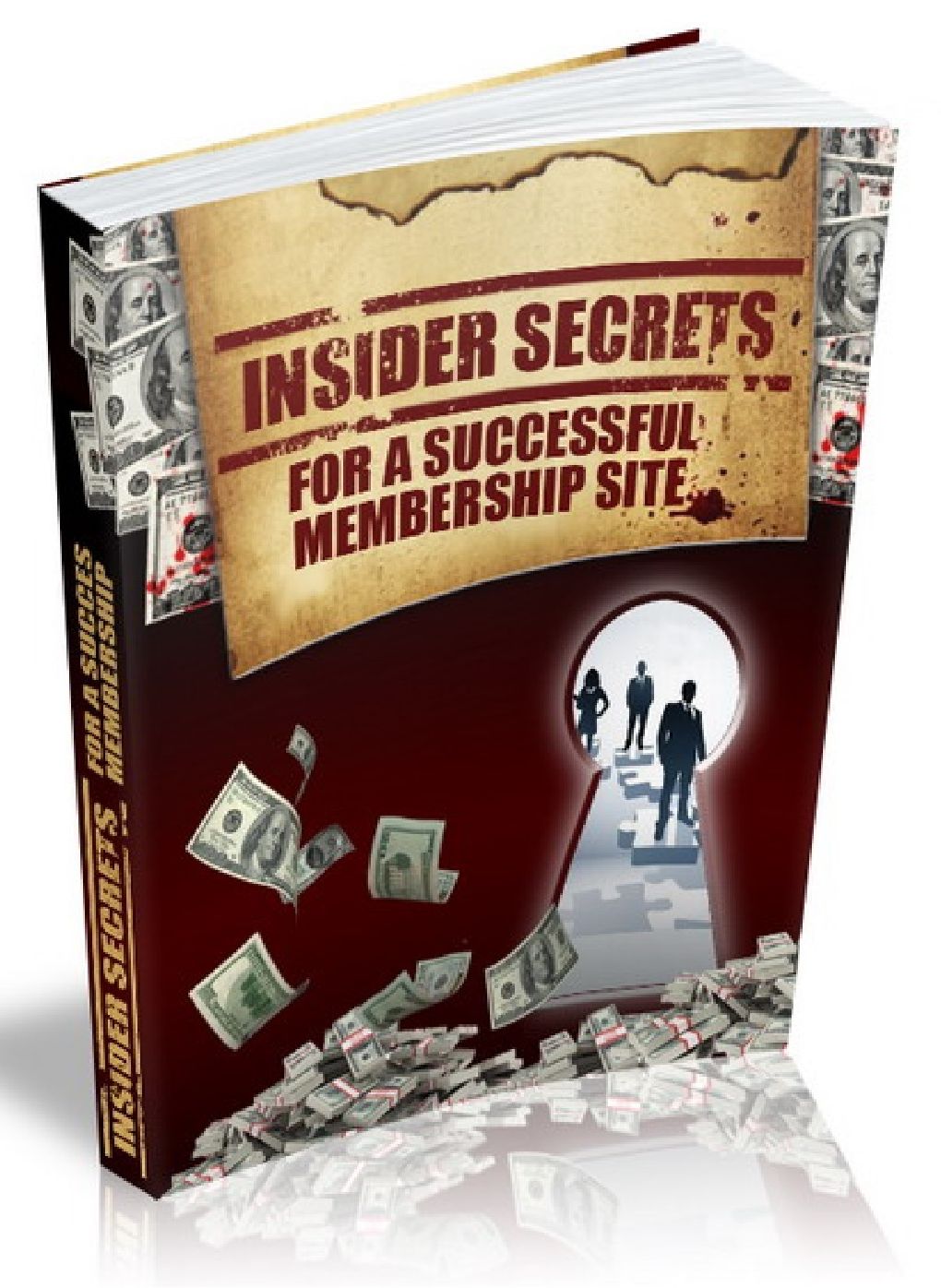 INSIDER SECRETS - FOR A SUCCESSFUL MEMBERSHIO SITE