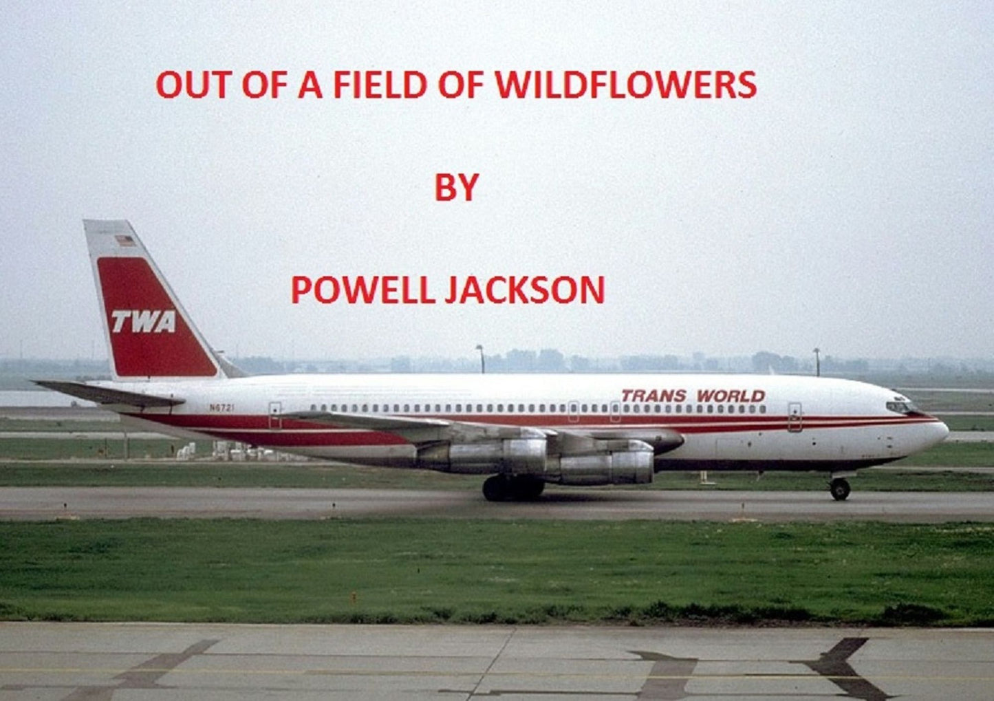Out of A Field of Wildflowers