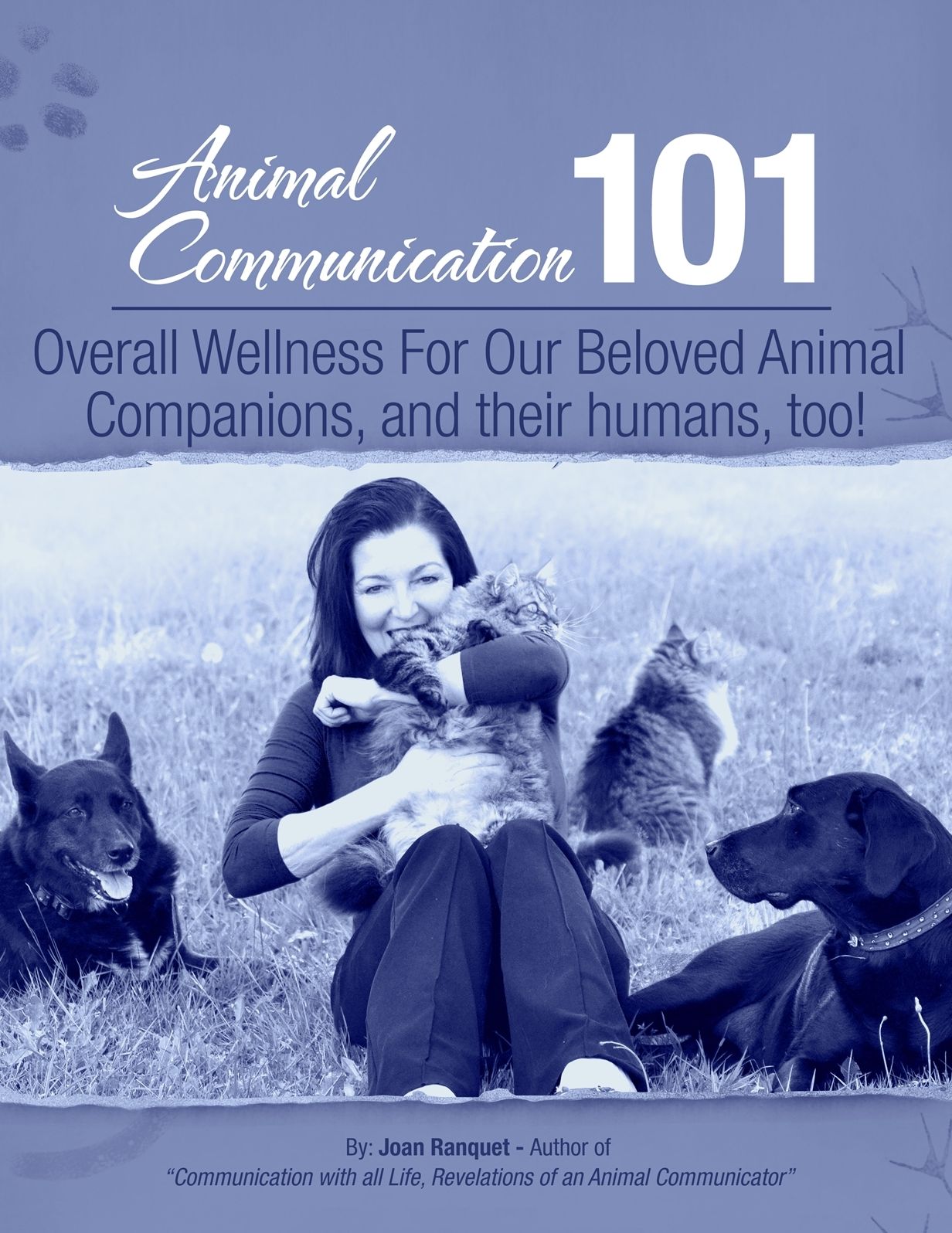 Overall Wellness For Our Beloved Animal Companions, and their humans, too!