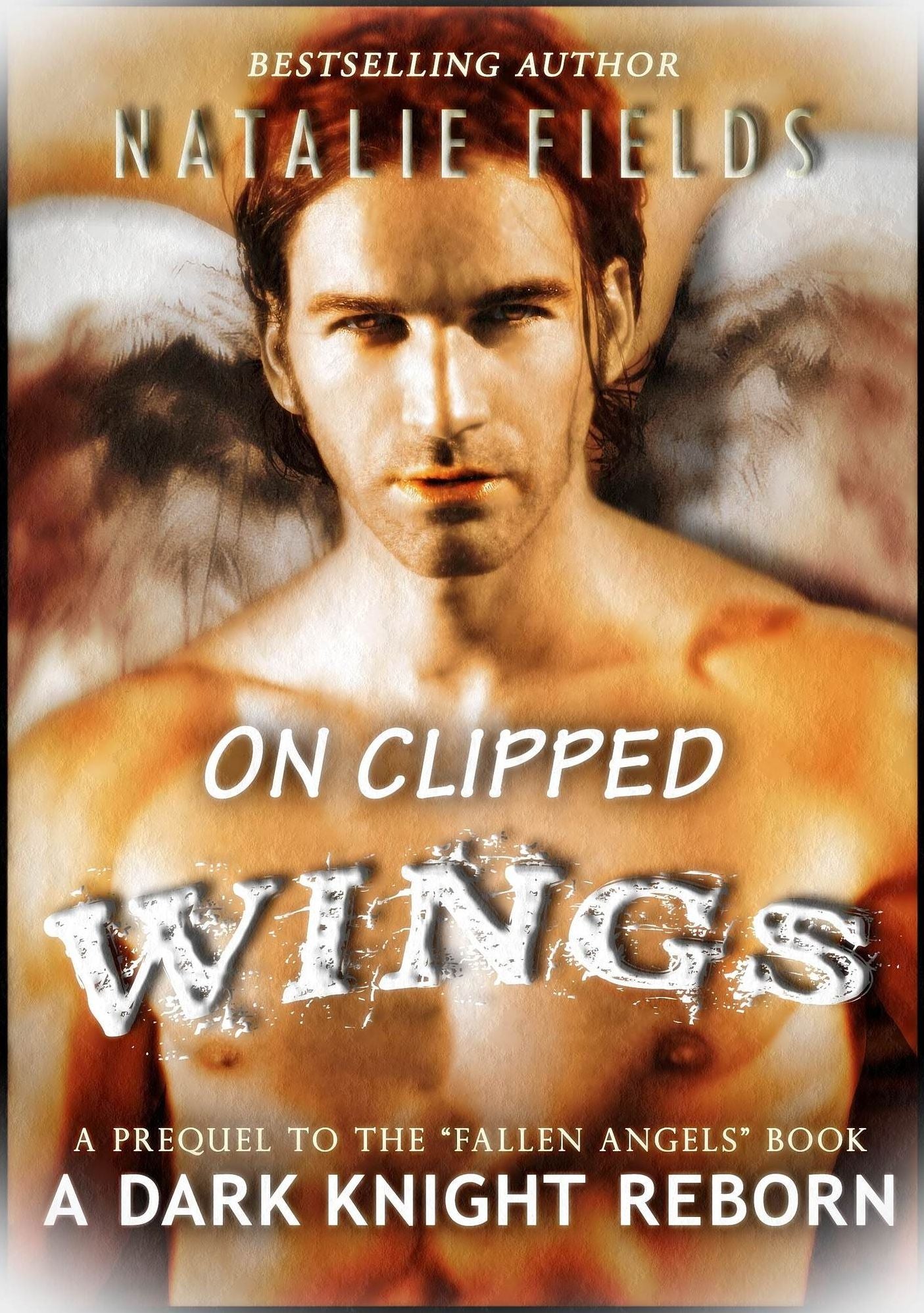 A Dark Knight Reborn Prequel: On Clipped Wings