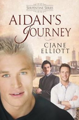 Aidan's Journey