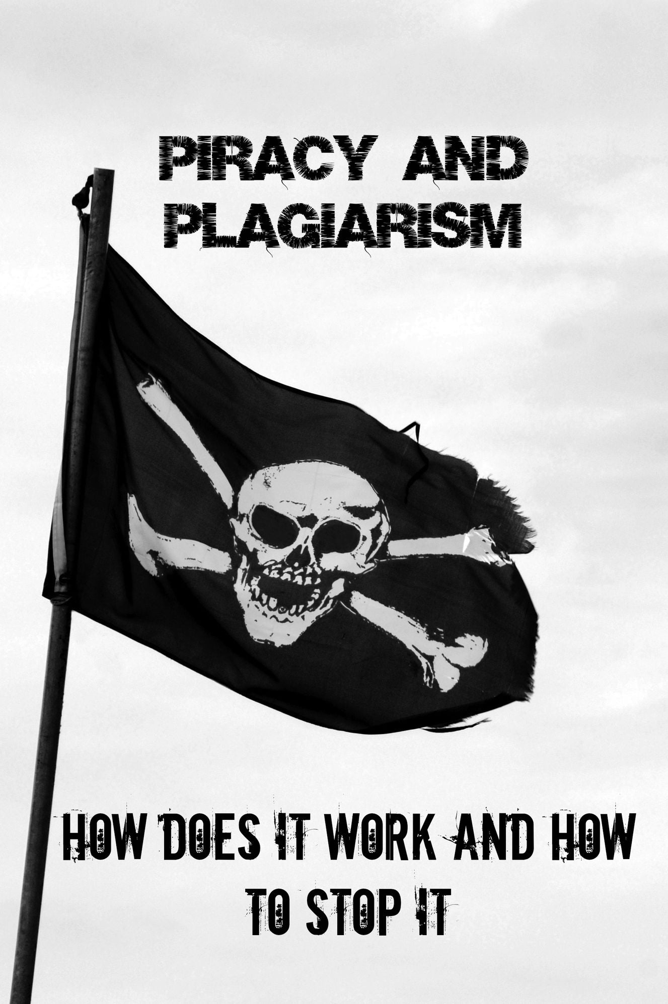 Piracy and Plagiarism: How Does It Work and How to Stop It