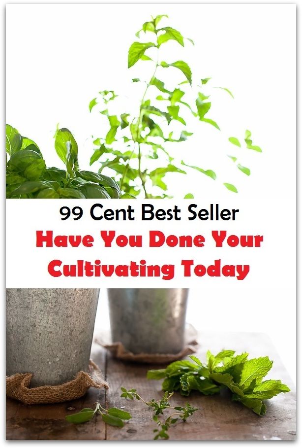 Have You Done Your Cultivating Today ( guidance, explain expectations, employee evaluation, employee performance, evaluate employees, Assessment Evaluation, Job classification title, accomplishments, strengths, career development plan )