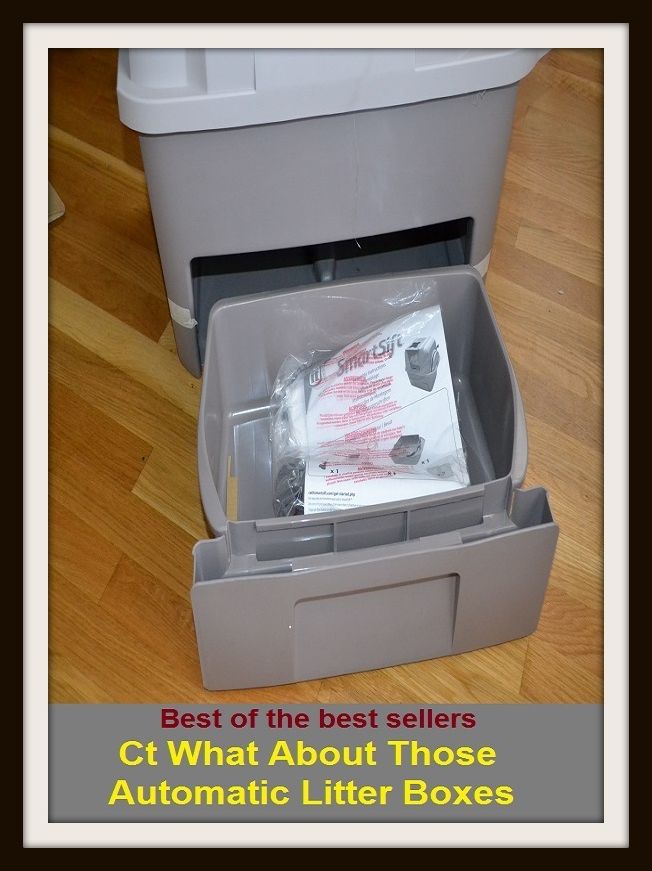 Best of the Best Sellers Ct What About Those Automatic Litter Boxes (pot, head, jhon, jhonny, latrine, lavotory, outhouse, potty, privy, restroom)