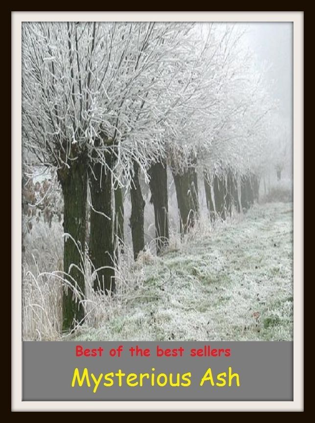 Best of the Best Sellers Mysterious Ash ( puzzling, strange, peculiar, curious, funny, queer, odd, weird, bizarre, mystifying, inexplicable, baffling, perplexing, incomprehensible, unexplainable, unfathomable )