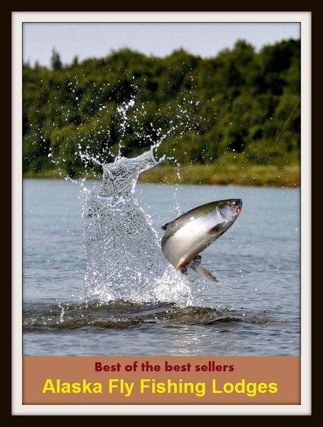 Outdoor Sports: Alaska Fly Fishing Lodges (go fishing, angle, cast, trawl, troll, seine, angling, trawling, trolling, seining, ice fishing, catching fish)