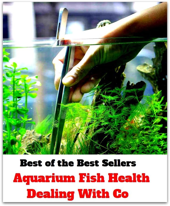 Best of the Best Sellers Aquarium Fish Health Dealing With Co ( cure, healing, recovery, recuperation, health, dealing, bargaining, trade, mercantile )