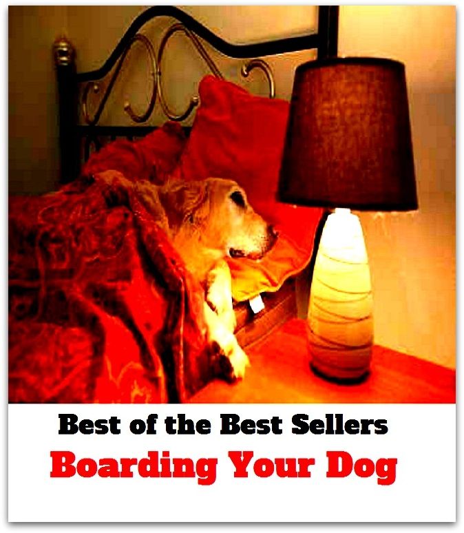 Best of the Best Sellers	Boarding Your Dog ( ascend, mount, climb, climb up, go up, board, dog, doggie, pooch, sheepdog, house dog, barker )