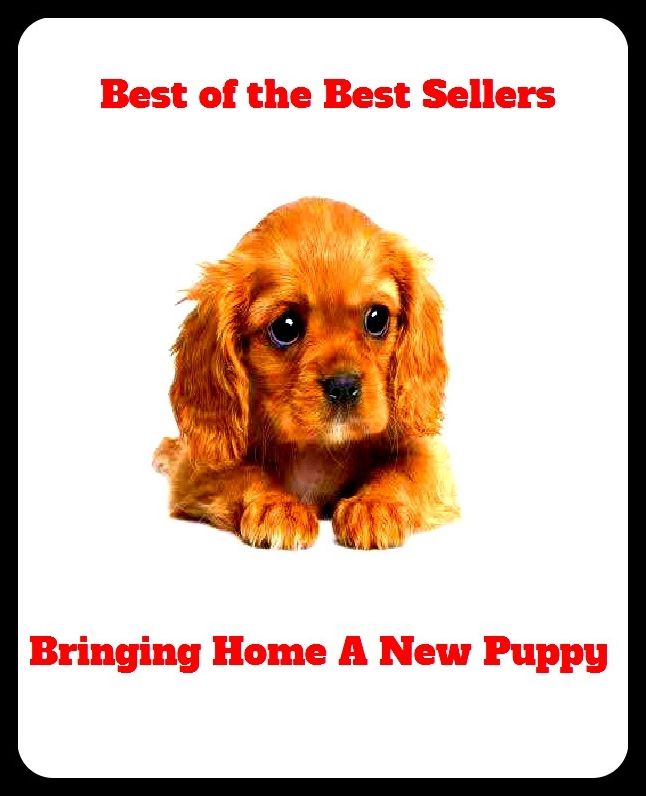 Best of the Best Sellers	Bringing Home A New Puppy ( bringing, induction, fetching, home, house, whang, cudgel, dwelling, abode )