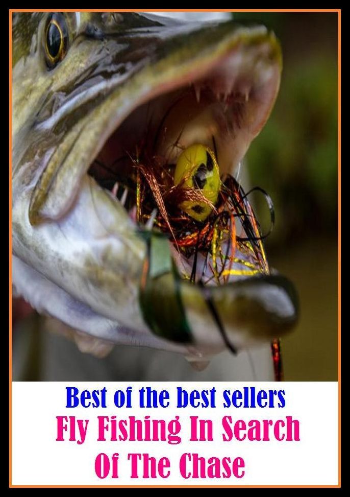 Best of the best sellers Fly Fishing In Search Of The Chase ( online marketing, computer, hardware, play station, CPU, blog, web, net, online game, broadband, wifi, internet, cheat code, game, e mail, download, up load, keyword, software, bug, antivirus )