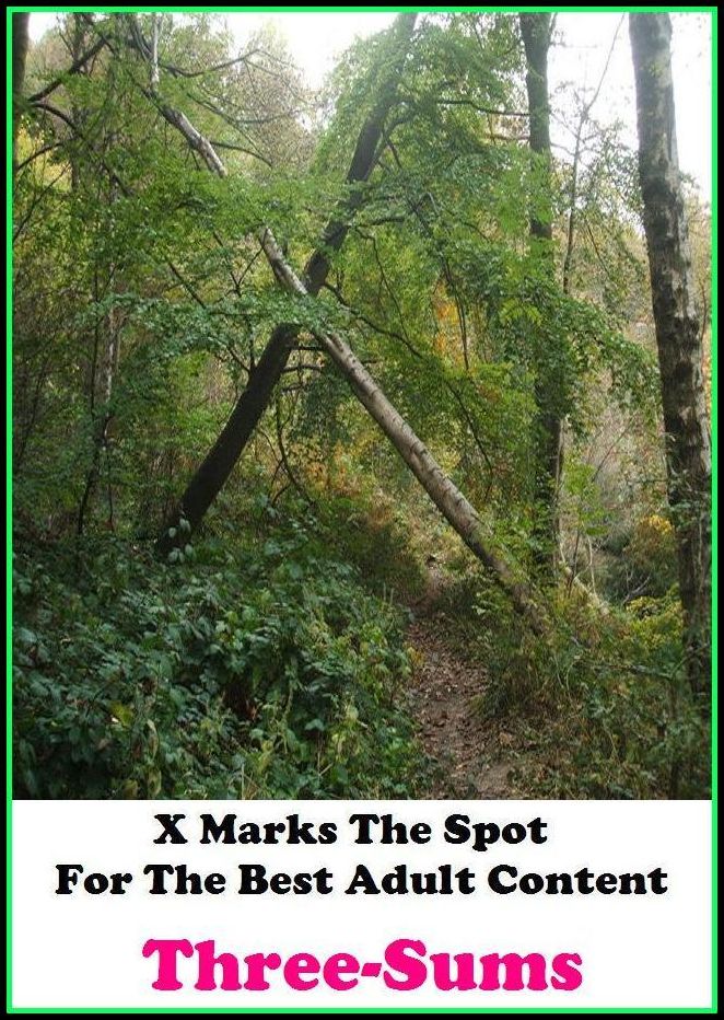 Nude: X Marks The Spot for The Best Adult Books Three-Sums(Erotic Adult Sex Nude Photography Fetish Couples Nudes) ( Erotic Photography, Erotic Stories, Nude Photos, Naked , Adult Nudes, Breast, Domination, Bare Ass, Lesbian, She-male, Gay, Fetish, Bondag