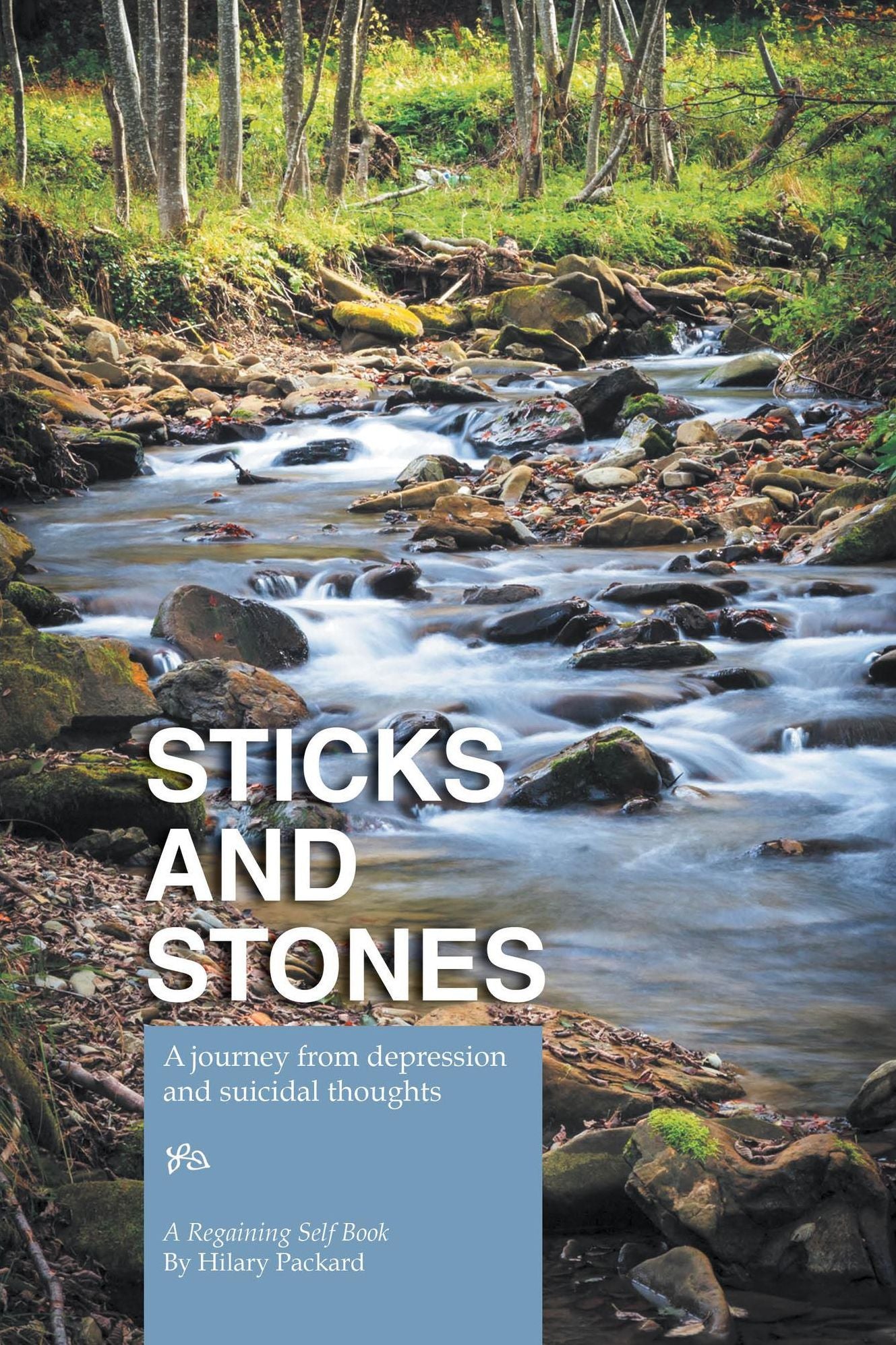 Sticks and Stones: A journey from depression and suicidal thoughts