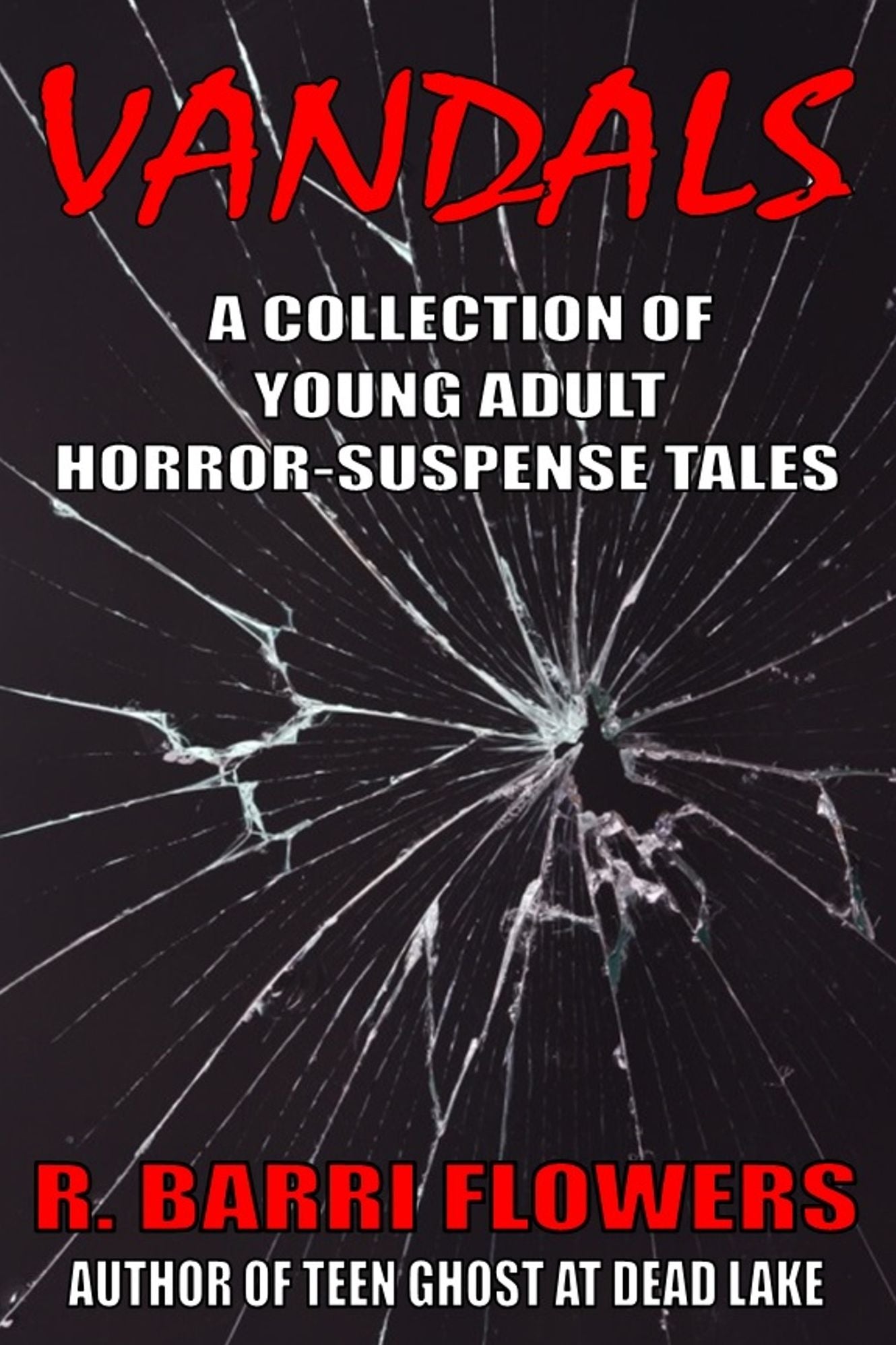 Vandals: A Collection of Young Adult Horror-Suspense Tales