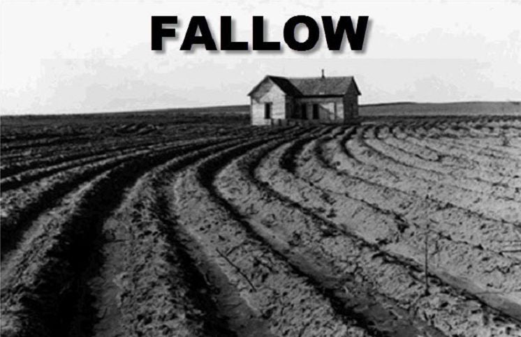 Fallow