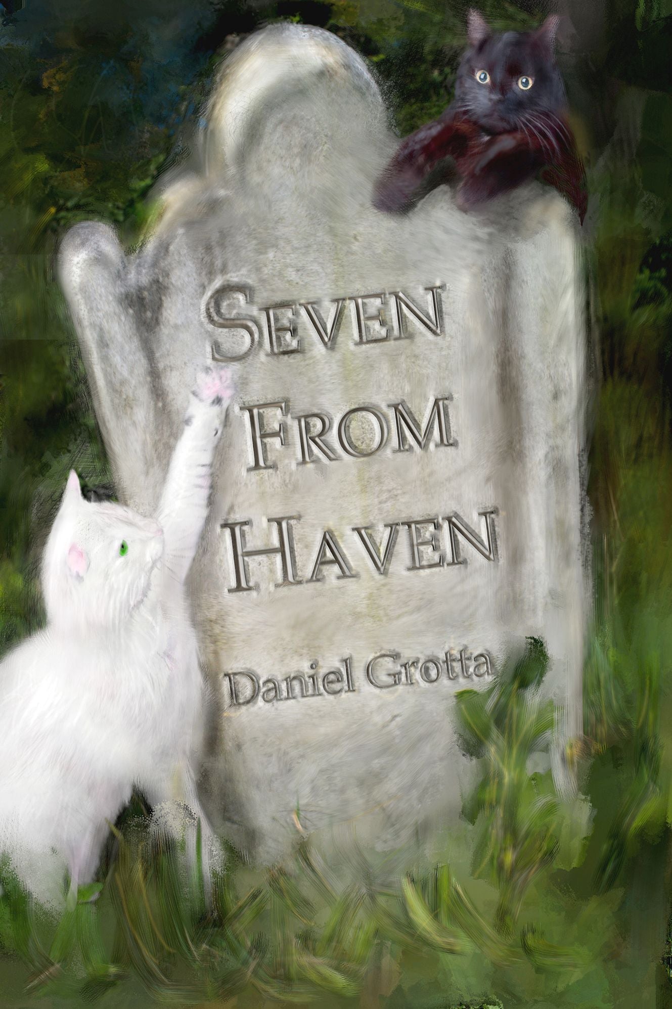 Seven From Haven By Daniel Grotta