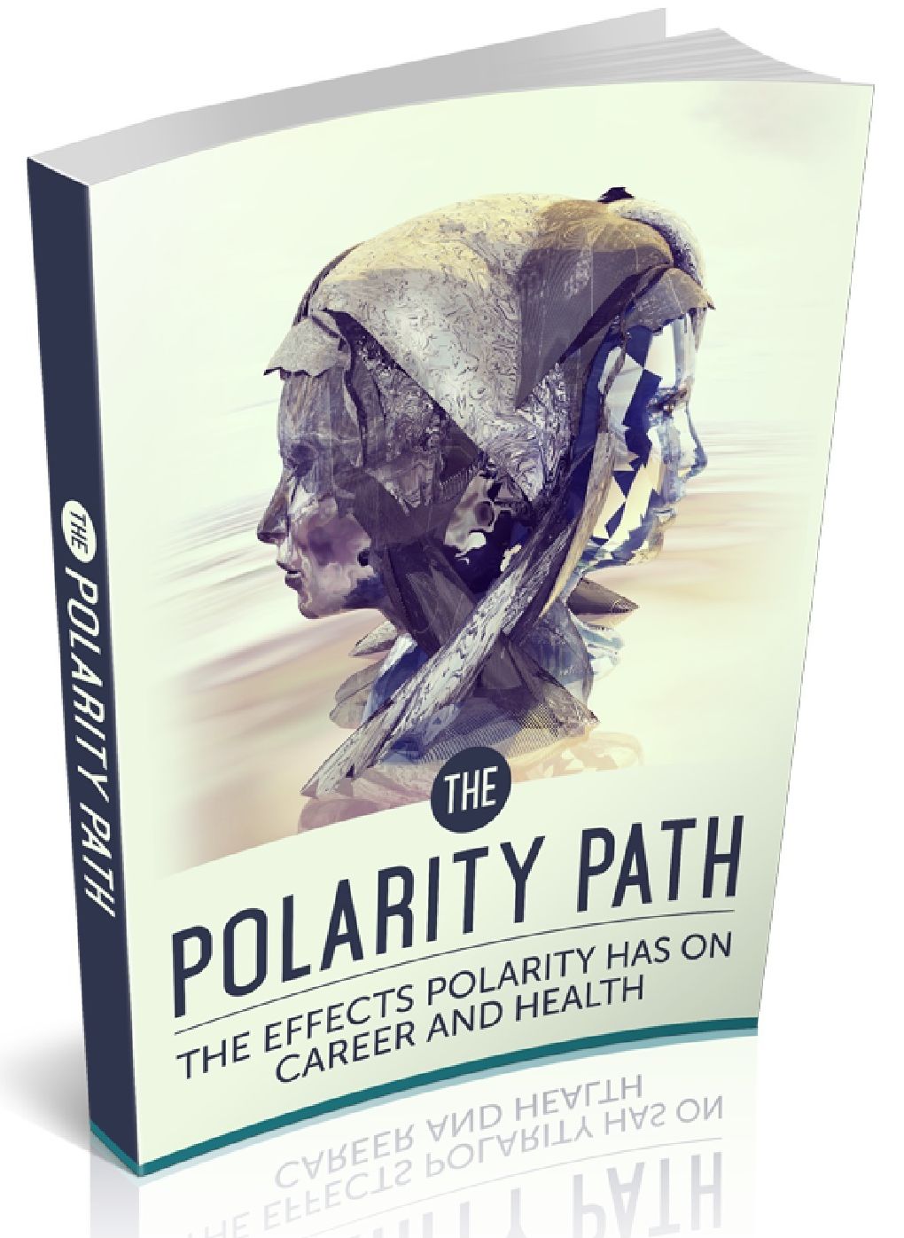 The Polarity Path: The Effects Polarity Has on Career and Health