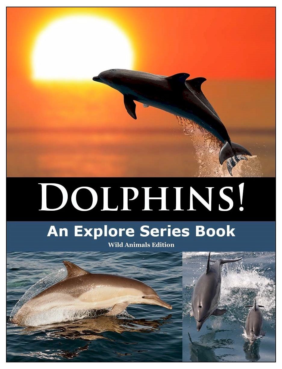 Dolphins