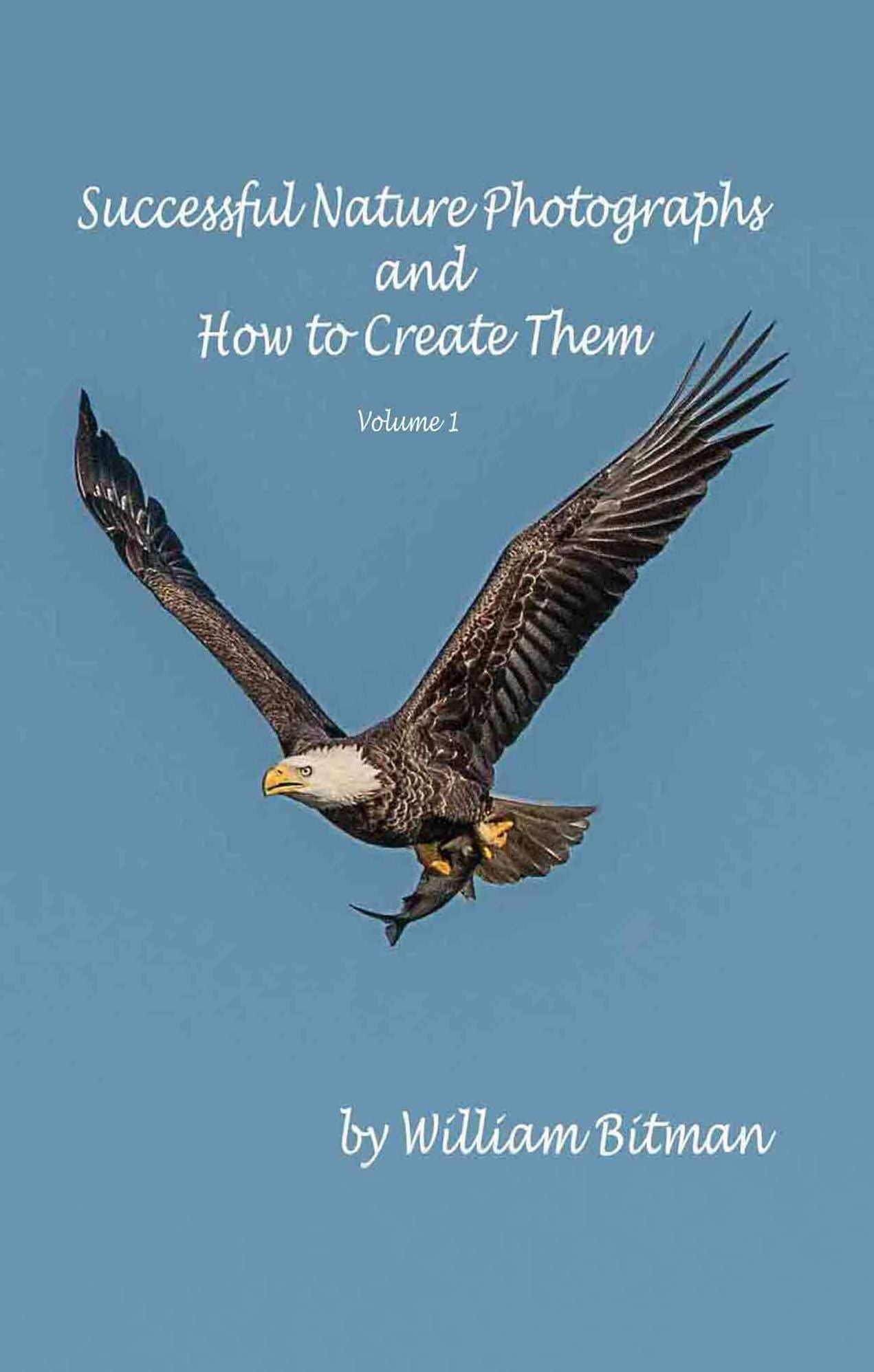 Successful Nature Photographs and How To Create Them: Volume 1