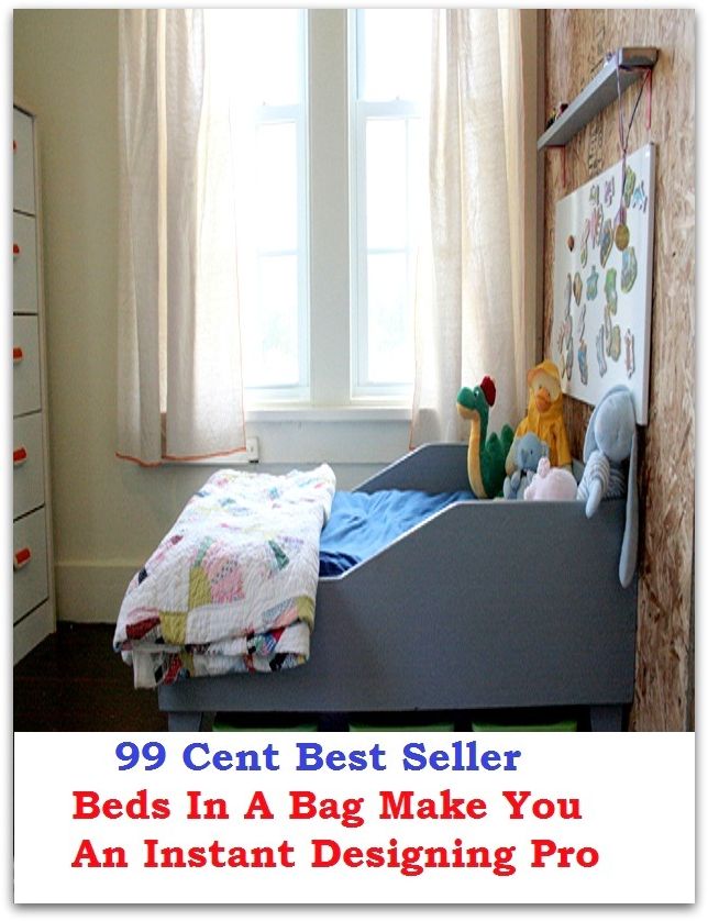 99 Cent Best Seller Beds In A Bag Make You An Instant Designing Pro ( way, method, means, technique, mode, system, approach, manner, line of attack, routine )