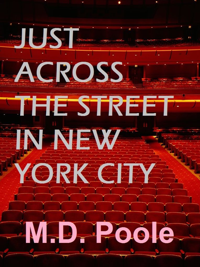 JUST ACROSS THE STREET IN NEW YORK CITY