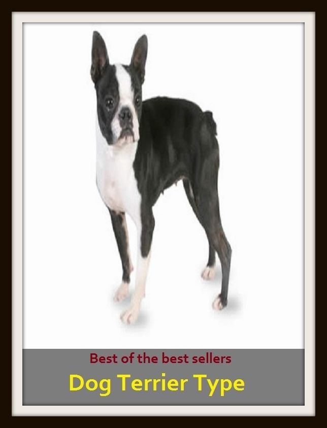 Best of the Best Sellers Dog Terrier Type ( Dog, hound, canine, mongrel, mutt, cur, pup, puppy, doggy/doggie, pooch, furball, man's best friend )