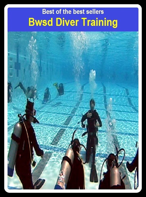 Best of the Best Sellers Bwsd Diver Training (bump, collapse, collide, ditch, dive, drop, hurtle, lurch, meet, pitch)