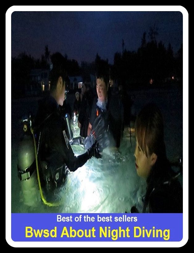 Best of the Best Sellers Bwsd About Night Diving (bump, collapse, collide, ditch, dive, drop, hurtle, lurch, meet, pitch)