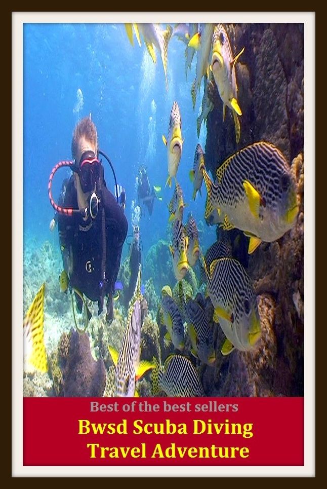 Best of the Best Sellers Bwsd Scuba Diving Travel Adventure (submersion, dipping, diving, immersion, ablution, sinking , go in, dip , drop , jump)