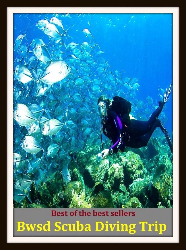 Best of the Best Sellers Bwsd Scuba Diving Trip (submersion, dipping, diving, immersion, ablution, sinking , go in, dip , drop , jump)