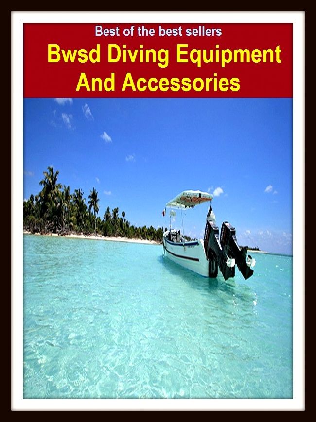 Best of the Best Sellers Bwsd Diving Equipment And Accessories (bump, collapse, collide, ditch, dive, drop, hurtle, lurch, meet, pitch )
