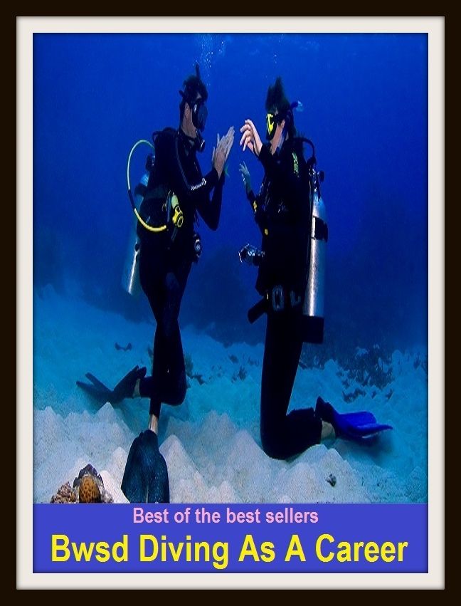 Best of the Best Sellers Bwsd Diving As A Career (bump, collapse, collide, ditch, dive, drop, hurtle, lurch, meet, pitch)