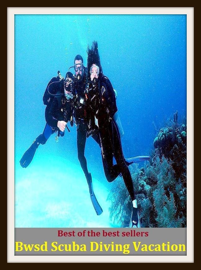 Best of the Best Sellers Bwsd Scuba Diving Vacation (submersion, dipping, diving, immersion, ablution, sinking , go in, dip , drop , jump)