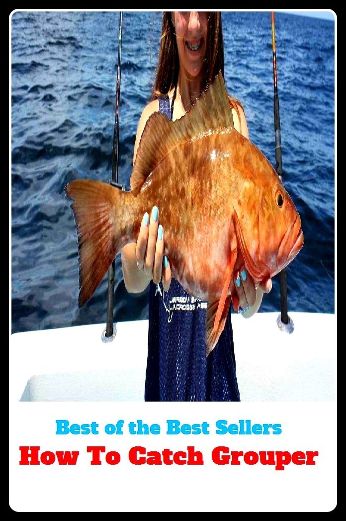 Best of the Best Sellers	How To Catch Grouper Ebook ( arrest, apprehension, capture, seizure, catch, taking, register, book, ledger, exercise book, daybook )