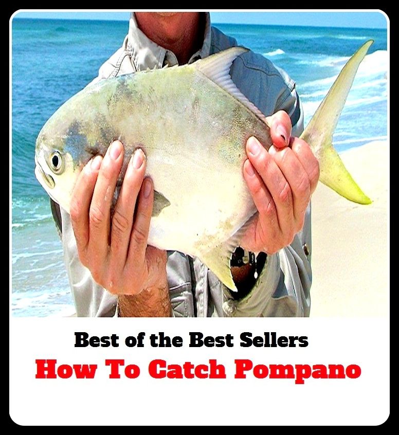 Best of the Best Sellers	How To Catch Pompano Ebook ( arrest, apprehension, capture, seizure, catch, taking )