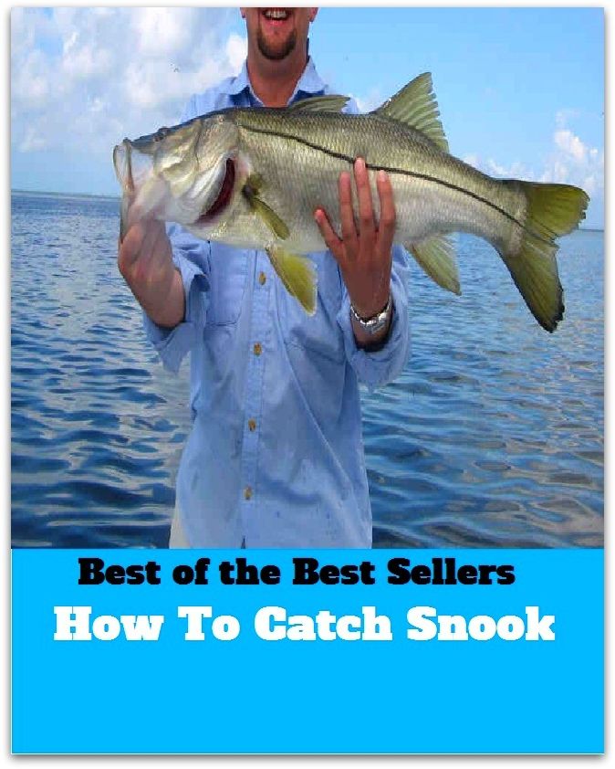 Best of the Best Sellers	How To Catch Snook Ebook ( arrest, apprehension, capture, seizure, catch, taking )