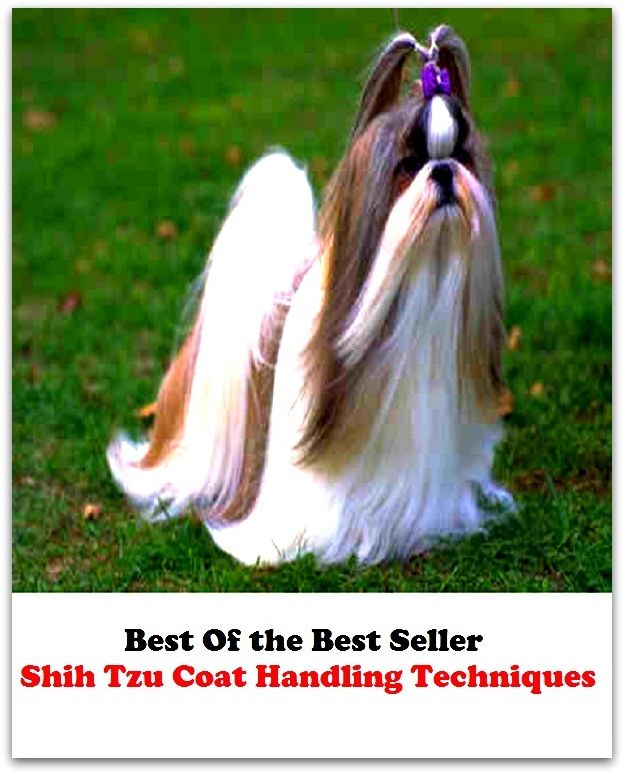 Best of the Best Sellers	Shih Tzu Coat Handling Techniques ( craftsmanship, skill, technique, technics )