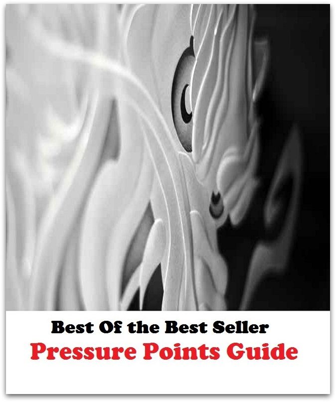Best of the Best Sellers	Pressure Points Guide ( pressure, arc, press, clot, weight, squeeze, point, drop, dot, spot, bead, blob, exhibitor, exhibit, display, demonstrator, guide, indicator )