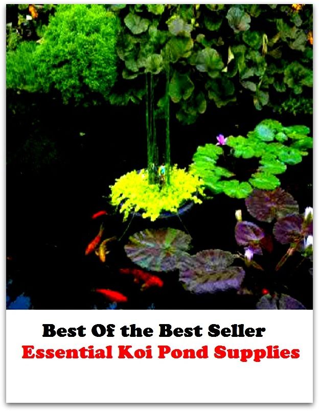 Best of the Best Sellers Essential Koi Pond Supplies (essential condition, essential elements of friendly information, essential elements of information, essential fatty acid, essential hypertension, essential listening, essential nutrient, essential oil)