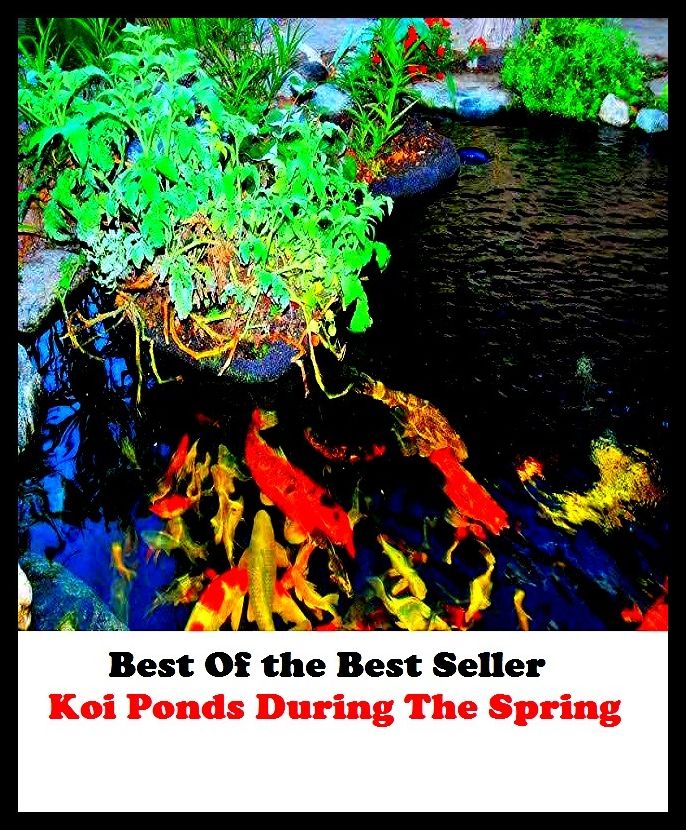 Best of the Best Sellers Koi Ponds During The Spring (pond life, pond-like, pond people, ponderer, ponds, ponds, pond ward, pond water, pond weed, pond weed family)