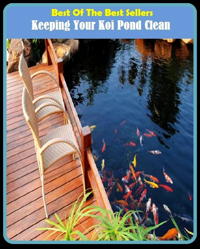 Best of the Best Sellers Keeping Your Koi Pond Clean (keeper, keep ideas, weepie-yuppie, keeping, keeping up with the Jones, kepi, keep like, keep net, keep recipes)