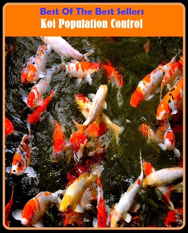 Best of the Best Sellers Koi Population Control (cohort, checkout, koala-ju00e4rve, Hutu, oi, bronchial, quoin, kine, Kohinoor, antimatter)