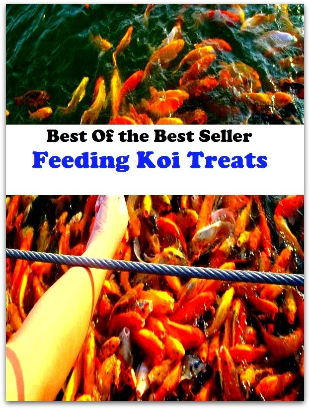 Best of the Best Sellers Feeding Koi Treats (feeding and eating disorders of childhood, feeding behavior, feeding bottle, feeding chair, feeding frenzy, feeding methods, feeding time, feedlot, feed line, feed looks)