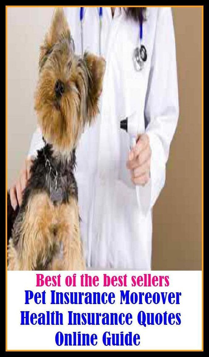 Best of the Best Sellers Pet Insurance Moreover Health Insurance Quotes Online Guide ( cure, healing, recovery, recuperation, health, wellness, soundness, hygiene, happiness, body )