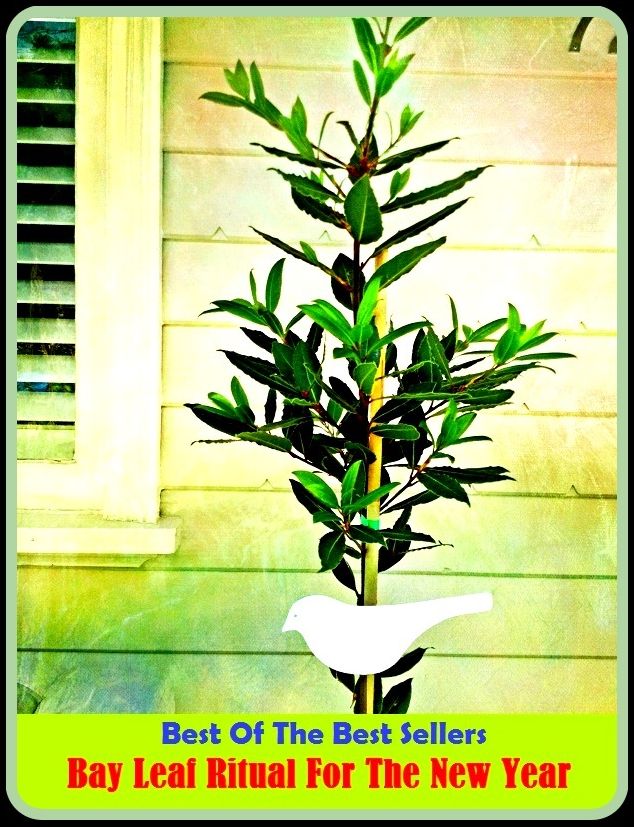 Best of the Best Sellers Bay Leaf Ritual For The New Year ( High-Church, wonting, Torah, what is done, Virginal, weight, automatic, usual, baptismal, usage )