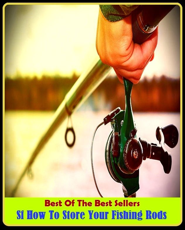 Best of the Best Sellers Sf How To Store Your Fishing Rods ( go fishing, angle, cast, trawl, troll, seine, goblin, hobgoblin, gnome, halfling )