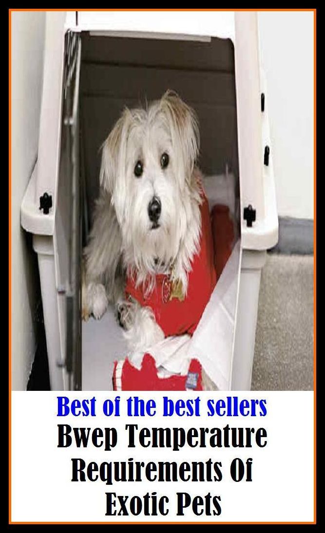 Best of the best sellery Bwep Temperature Requirements Of Exotic Pets ( alien, alluring, bizarre, colorful, curious, different, fascinating, glamorous, peculiar, romantic, strange )