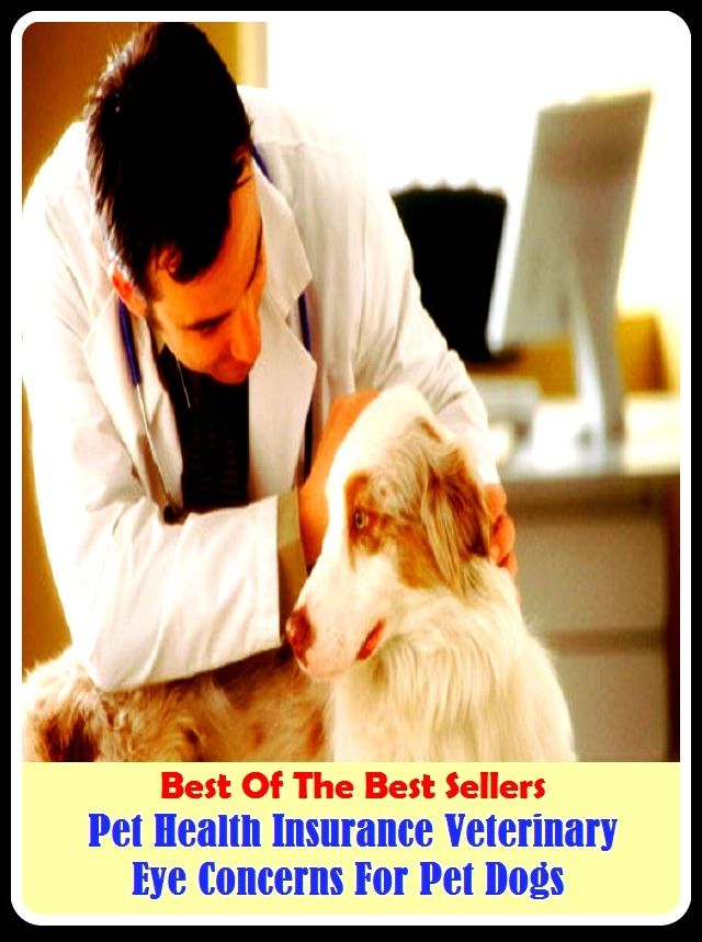 Best of the Best Sellers Pet Health Insurance Veterinary Eye Concerns For Pet Dogs ( pet, favourite, favorite, dear, sweet, beloved, inamorato, bred, fulfilled, reared )