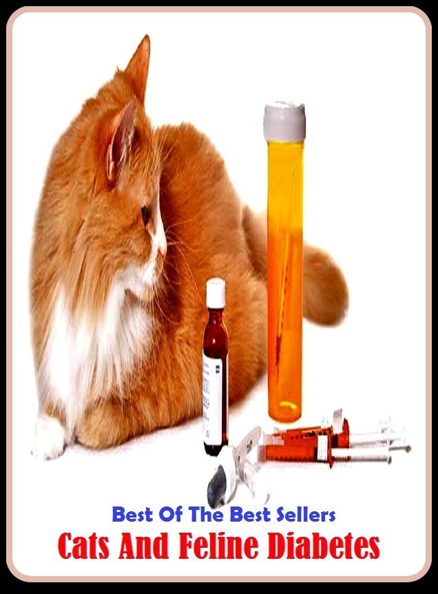 Best of the Best Sellers Cats And Feline Diabetes (cat, catty, malevolent, spiteful, cattish, malevolent, spiteful, cattish, evil, mischievous, demonic, virus)