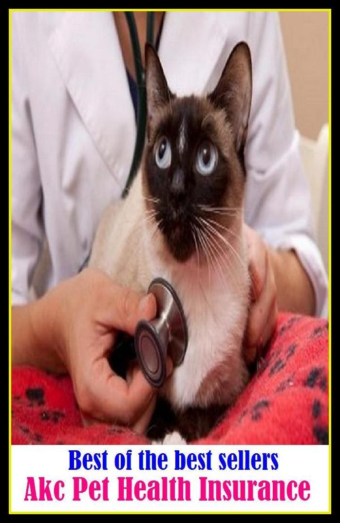 Best of the best sellery Akc Pet Health Insurance ( condition, wholesomeness, euphoria, well-being, fitness, vigorousness, haleness, trim, healthiness, stamina, naturalness, salubrity )