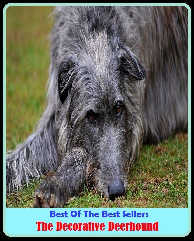 Best of the Best Sellers The Decorative Deerhound (Cape elk, wildebeest, antelope, springbok, camel, roe deer, caribou, reindeer, doe, okapi, eland )